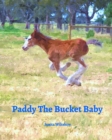 Image for Paddy The Bucket Baby