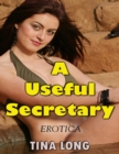 Image for Useful Secretary (Erotica)