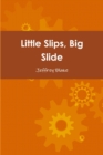 Image for Little Slips, Big Slide