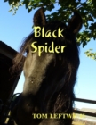 Image for Black Spider