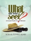 Image for What Do You Seek? : A Crucial Puzzle for the Moment