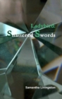 Image for Ladybird: Shattered Swords