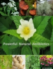 Image for Powerful Natural Antibiotics