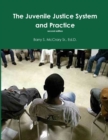 Image for Juvenile Justice System and Practice