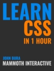Image for Learn CSS in 1 Hour