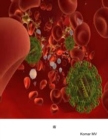 Image for Hiv