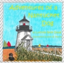 Image for Adventures of a Nantucket Dog