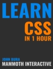 Image for Learn Css In 1 Hour