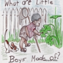 Image for Sherry&#39;s Babies : What are little boys made of? made of?