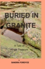 Image for Buried in Granite
