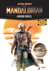 Image for Star Wars: The Mandalorian Junior Novel