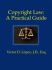 Image for Copyright Law: A Practical Guide