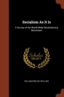 Image for Socialism As It Is : A Survey of the World-Wide Revolutionary Movement