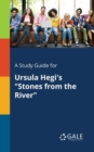 Image for A Study Guide for Ursula Hegi&#39;s &quot;Stones From the River&quot;