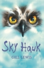 Image for Rollercoasters: Sky Hawk