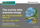 Image for The turtle who wanted wings
