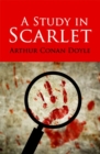 Image for Rollercoasters  : a study in scarlet