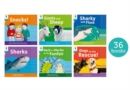 Image for Oxford Reading Tree: Floppy&#39;s Phonics Decoding Practice: Oxford Level 3: Class Pack of 36