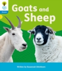 Image for Oxford Reading Tree: Floppy&#39;s Phonics Decoding Practice: Oxford Level 3: Goats and Sheep