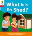 Image for Oxford Reading Tree: Floppy&#39;s Phonics Decoding Practice: Oxford Level 4: What is in the Shed?