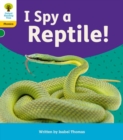 Image for Oxford Reading Tree: Floppy&#39;s Phonics Decoding Practice: Oxford Level 5: I Spy a Reptile!