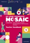 Image for Oxford Smart Mosaic: Teacher Handbook 1 eBook