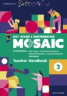Image for Oxford Smart Mosaic: Teacher Handbook 3 eBook