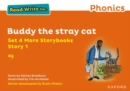 Image for Read Write Inc Phonics: Orange Set 4 More Storybook 1 Buddy the stray cat