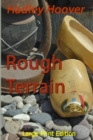 Image for Rough Terrain (LP)