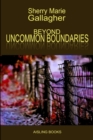 Image for Beyond Uncommon Boundaries