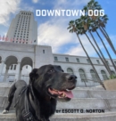 Image for Downtown Dog