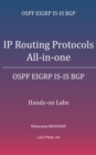 Image for IP Routing Protocols All-in-one: OSPF EIGRP IS-IS BGP Hands-on Labs