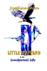 Image for LITTLE BRAVEBIRD &amp; The Grandparents&#39; Gifts