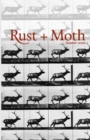 Image for Rust and Moth