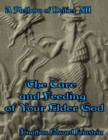 Image for Plethora of Deites Xii: The Care and Feeding of Your Elder God