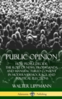 Image for Public Opinion