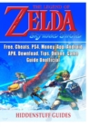 Image for Legend of Zelda Skyward Sword, Switch, Wii, Walkthrough, Characters, Bosses, Amiibo, Items, Tips, Cheats, Game Guide Unofficial