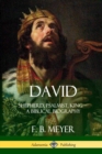 Image for David : Shepherd, Psalmist, King - A Biblical Biography