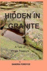 Image for Hidden in Granite