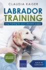 Image for Labrador Training