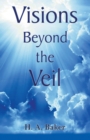 Image for Visions Beyond The Veil