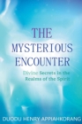 Image for The Mysterious Encounter