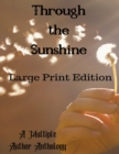 Image for Through the Sunshine Large Print