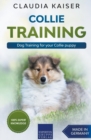 Image for Collie Training - Dog Training for your Collie puppy