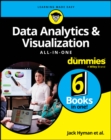 Image for Data analytics &amp; visualization all-in-one