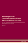 Image for Reversing African Lymphadenopathic Kaposi Sarcoma : Kidney Filtration The Raw Vegan Plant-Based Detoxification &amp; Regeneration Workbook for Healing Patients. Volume 5