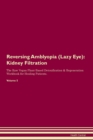 Image for Reversing Amblyopia (Lazy Eye) : Kidney Filtration The Raw Vegan Plant-Based Detoxification &amp; Regeneration Workbook for Healing Patients. Volume 5