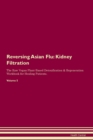Image for Reversing Asian Flu : Kidney Filtration The Raw Vegan Plant-Based Detoxification &amp; Regeneration Workbook for Healing Patients. Volume 5