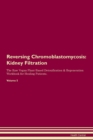Image for Reversing Chromoblastomycosis : Kidney Filtration The Raw Vegan Plant-Based Detoxification &amp; Regeneration Workbook for Healing Patients. Volume 5