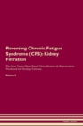 Image for Reversing Chronic Fatigue Syndrome (CFS) : Kidney Filtration The Raw Vegan Plant-Based Detoxification &amp; Regeneration Workbook for Healing Patients. Volume 5